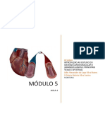 Sistema cardiovascular: estrutura e função das principais artérias e veias