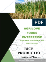 Rice Farming Business Plan 1000000 Agrilove