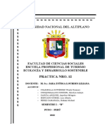 Universidad Nacional Del Altiplano: Practica Nro. 12
