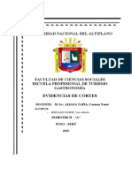 Universidad Nacional Del Altiplano: Evidencias de Cortes