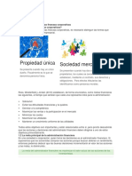 Propiedad Única Sociedad Mercantil: Explicación