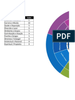 Roda Da Vida Editavel em Excel