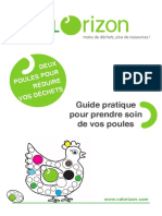 Guide Pratique Pour Prendre Soin de Vos Poules