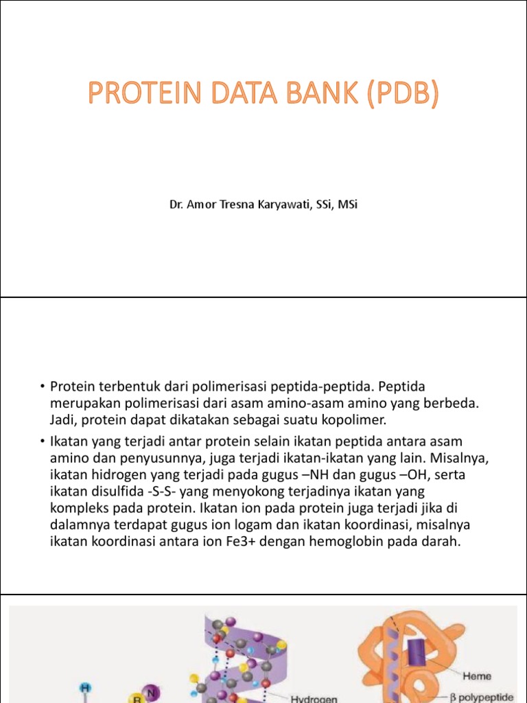 6 Protein Data Bank PDF