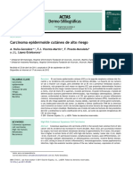 Carcinoma Epidermoide Cutáneo de Alto Riesgo: Revisión