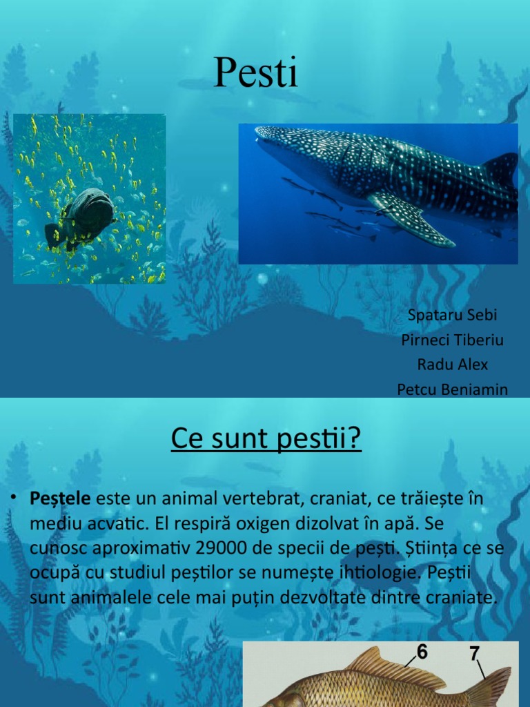 Pesti | PDF