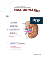 09.1 -Prática do Sistema Urinário