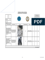 Inspección Zona de Tránsito Peatonal Nv. 740