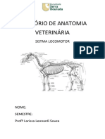 Anatomia veterinária do sistema locomotor
