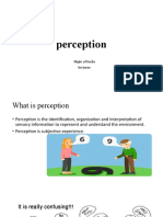 What is Perception? Understanding the Key Stages of Sensory Processing