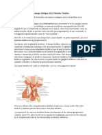 Patología Maligna de La Glándula Tiroides