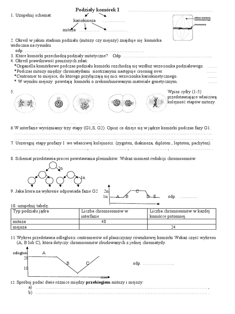 Zadania Maturalne I Sprawdziany PDF