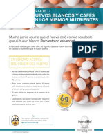 White Brown Eggs Have Same Nutrients Spanish