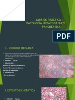 Guia de Práctica: Patologia Hepatobiliar Y Pancreatica