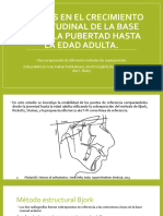 Cambios en El Crecimiento Longitudinal de La Base Desde La Pubertad Hasta La Edad Adulta