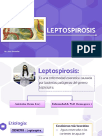Leptospirosis Rosmaury Rincon