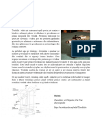 Klasa: VII Lënda: Matematikë Tema: Teoloidët Punoi: Kamelja Cami