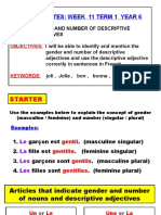 French Notes - Gender An Number of Descriptive Adjectives