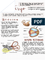 ASIGNACIÓN 3 Oído Interno