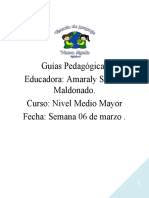 Guías pedagógicas educación primaria colores