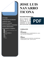 Cv. JOSE LUIS NAVARRO TICONA