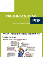 Protein Synthesis: The Protein-Making Process