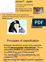 What is a species? Evidence for classification