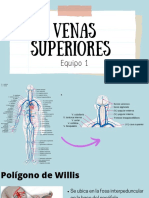 Venas Superiores: Equipo 1