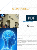 Lóbulo Frontal: E.A.P de Psicología