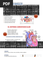 Enfermedades Cardiovasculares: Integrantes