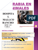 Rabia Animal Cpacitacion Office 2020