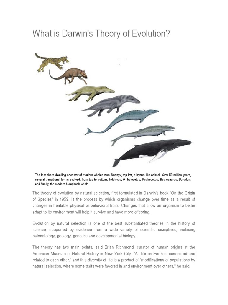 What is darwins theory of evolution pdf
