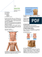 Examen físico abdominal: inspección, auscultación, percusión y palpación