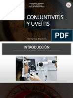 Conjuntivitis Y Uveítis: Universidad de Concepción Facultad de Medicina Depto. de Tecnología Médica