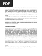 Download Pepsin by MacaRonie PepeRownie del Rio SN64052456 doc pdf