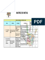 Matriz de Metas 13