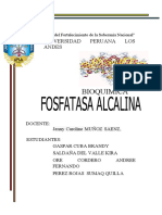 Informe de Bioquimica 2