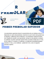 Primer Premolar: Clínica Médica Ensigna