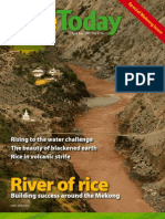 Download Rice Today Volume 6 number 2 by Marco SN6405292 doc pdf