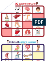 Bingo: Cuerpo Humano