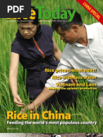 Download Rice Today Volume 6 number 4 by Marco SN6405322 doc pdf