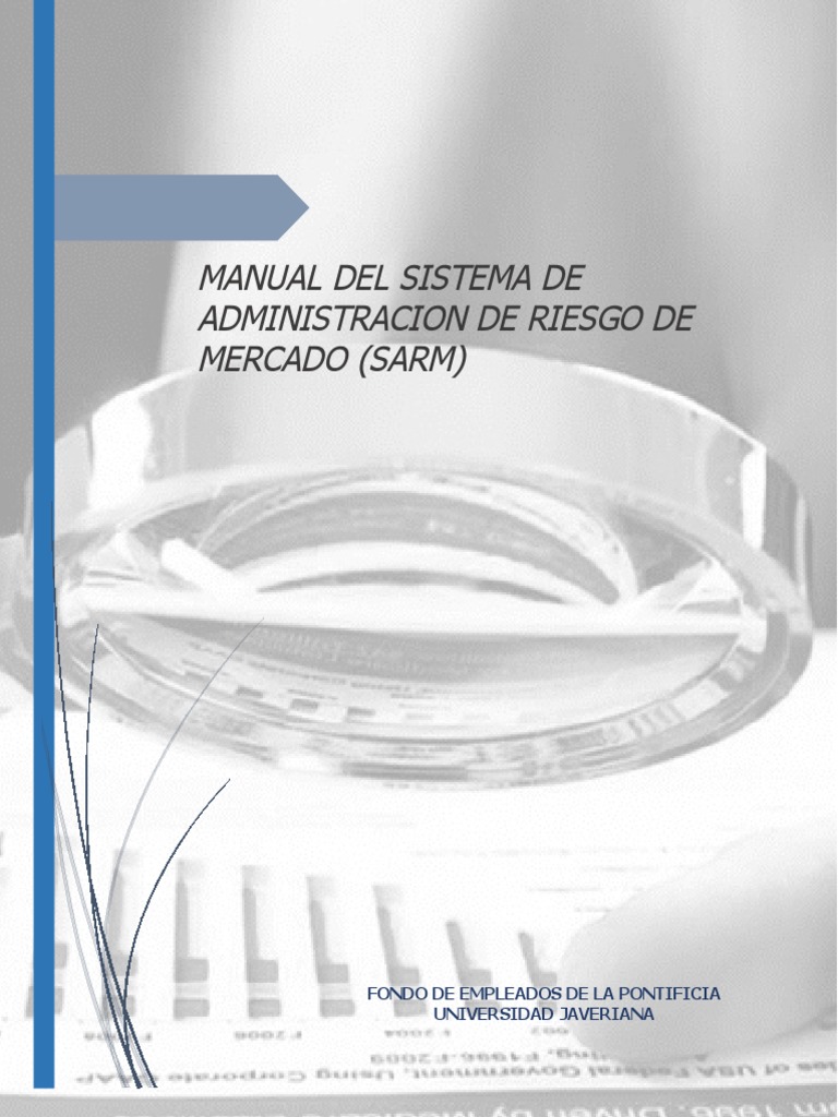 Manual Del Sistema de Administracion de Riesgo de Mercado (Sarm) | PDF ...