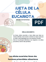 Maqueta de La Célula Eucariota: Biología Contemporánea