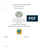 Rapport de Stage Sonelgaz