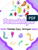 Parasitologia VLM