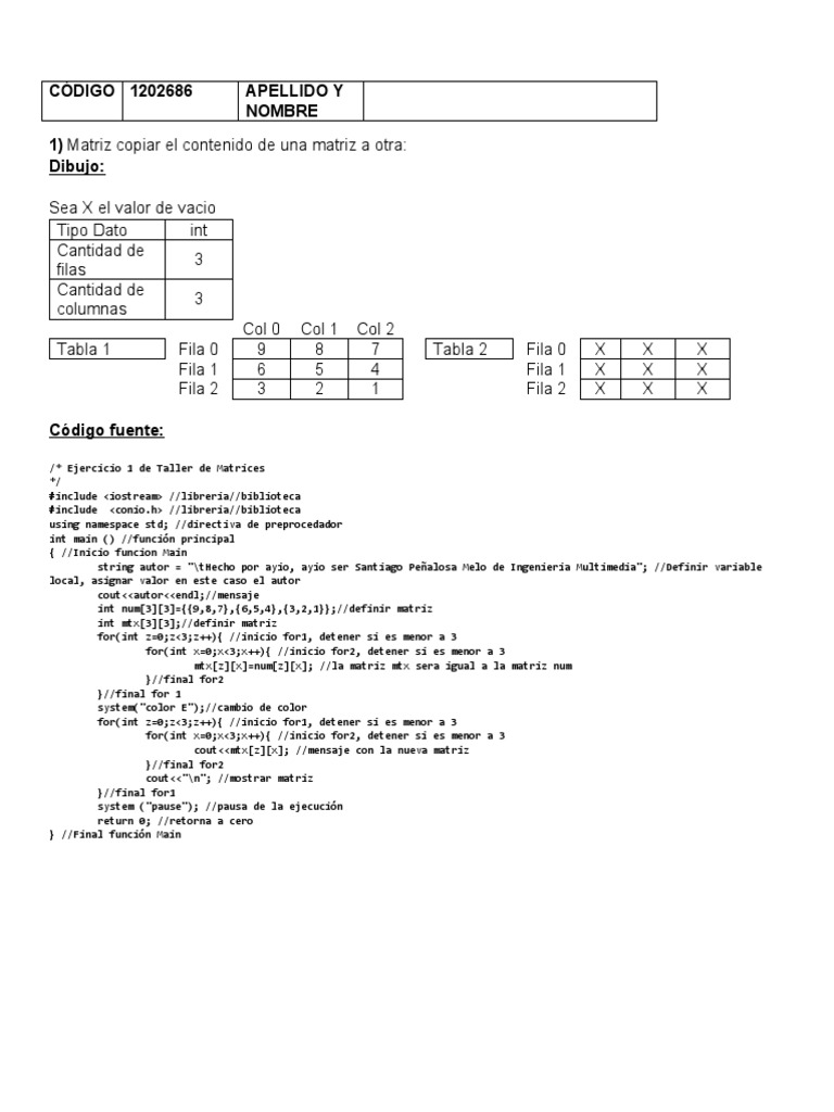 Ejercicios de Programación con Matrices en C++ | PDF | Matriz ...