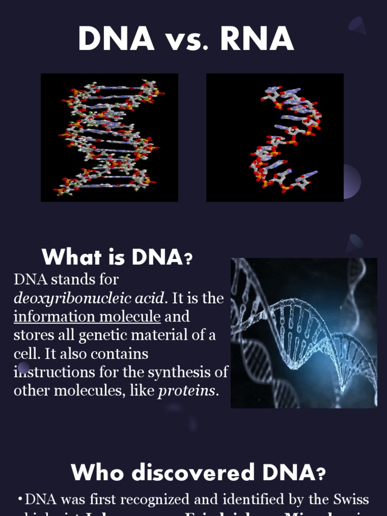 DNA Vs RNA | PDF | Rna | Dna