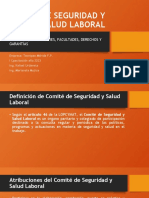 Comité Seguridad Salud Laboral