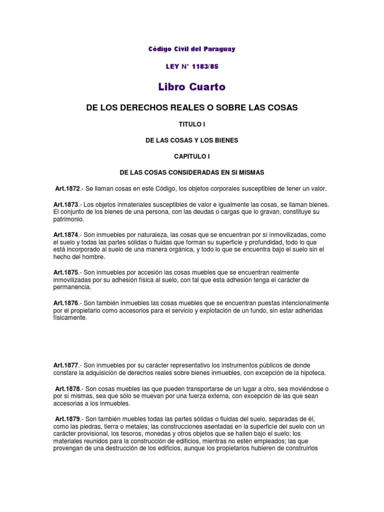 Código Civil Del Paraguay PDF Posesión (Ley) Propiedad