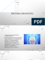 Sistema Digestivo